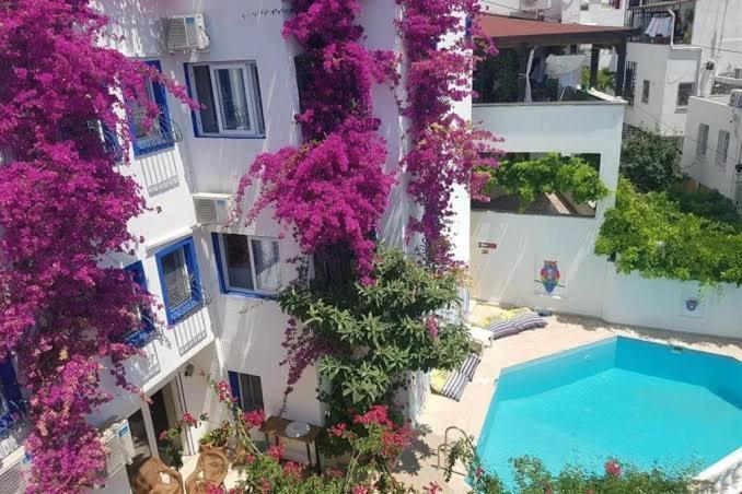 Angel Butik Otel Bodrum ภายนอก รูปภาพ
